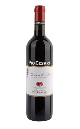 Pio Cesare Barbera d'Alba 2021