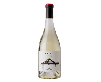 Torre Mora 'Cauru' Etna Bianco